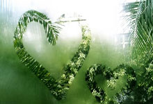 为什么要强调布线标准和机房标准!